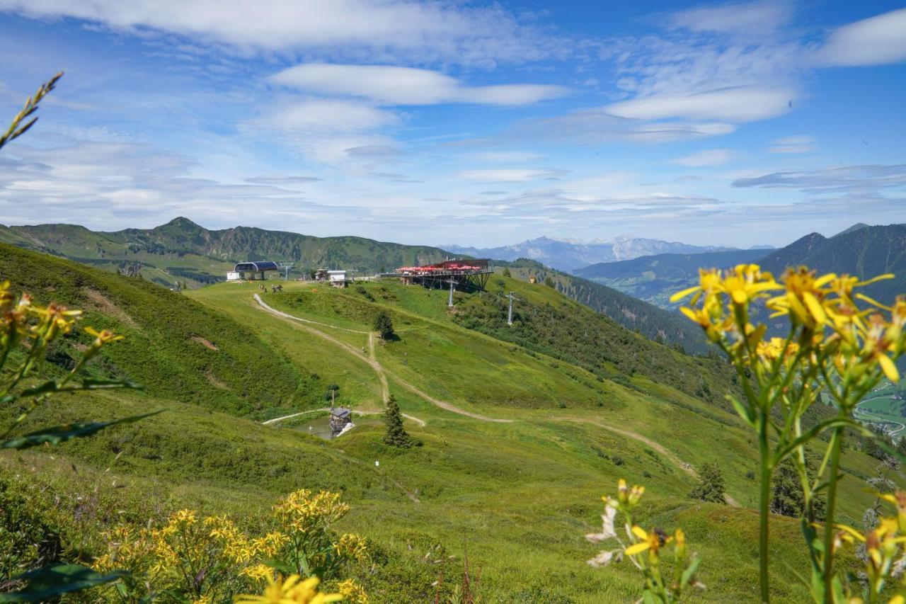 Die KALSBERGERin Ferienwohnung für Genießer Donnersbachwald Exterior foto