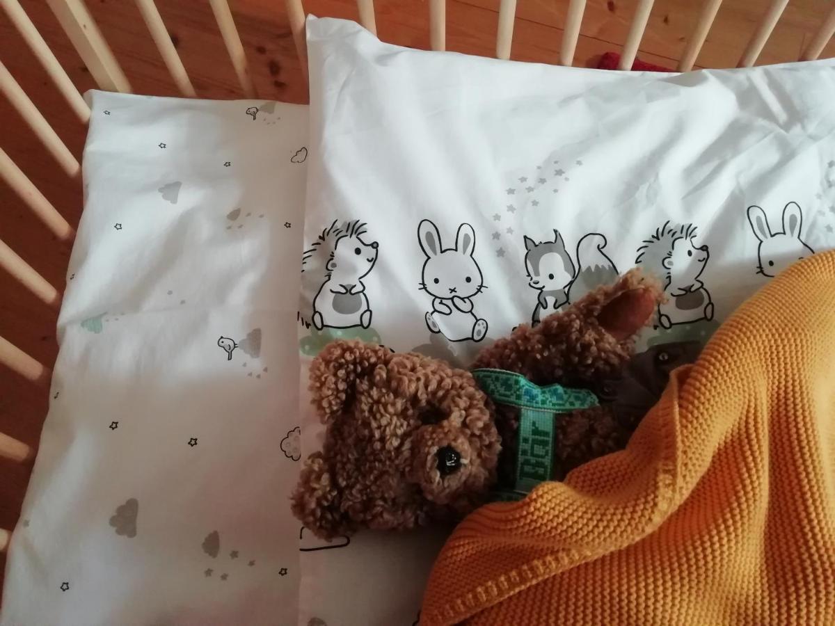 Die KALSBERGERin Ferienwohnung für Genießer Donnersbachwald Exterior foto